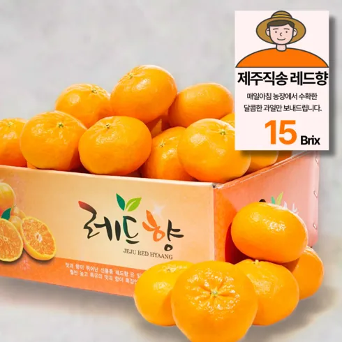 내돈내산 맛있는家 농협 제주 귤로장생 레드향 3.5kg TOP8 비교분석 추천 가격 정보
